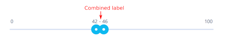 slider combined label anatomy