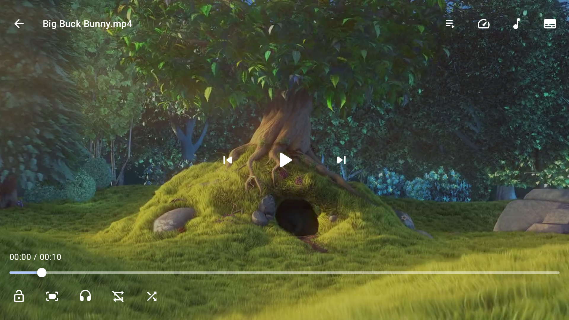 TV player controls