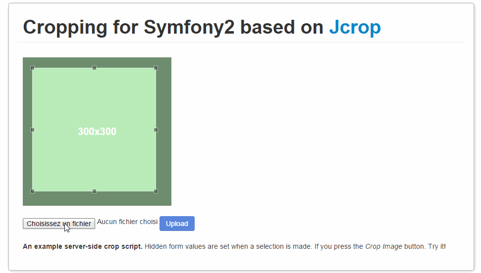 add form class symfony2 for cropping Symfony2 : behavior Basic side server