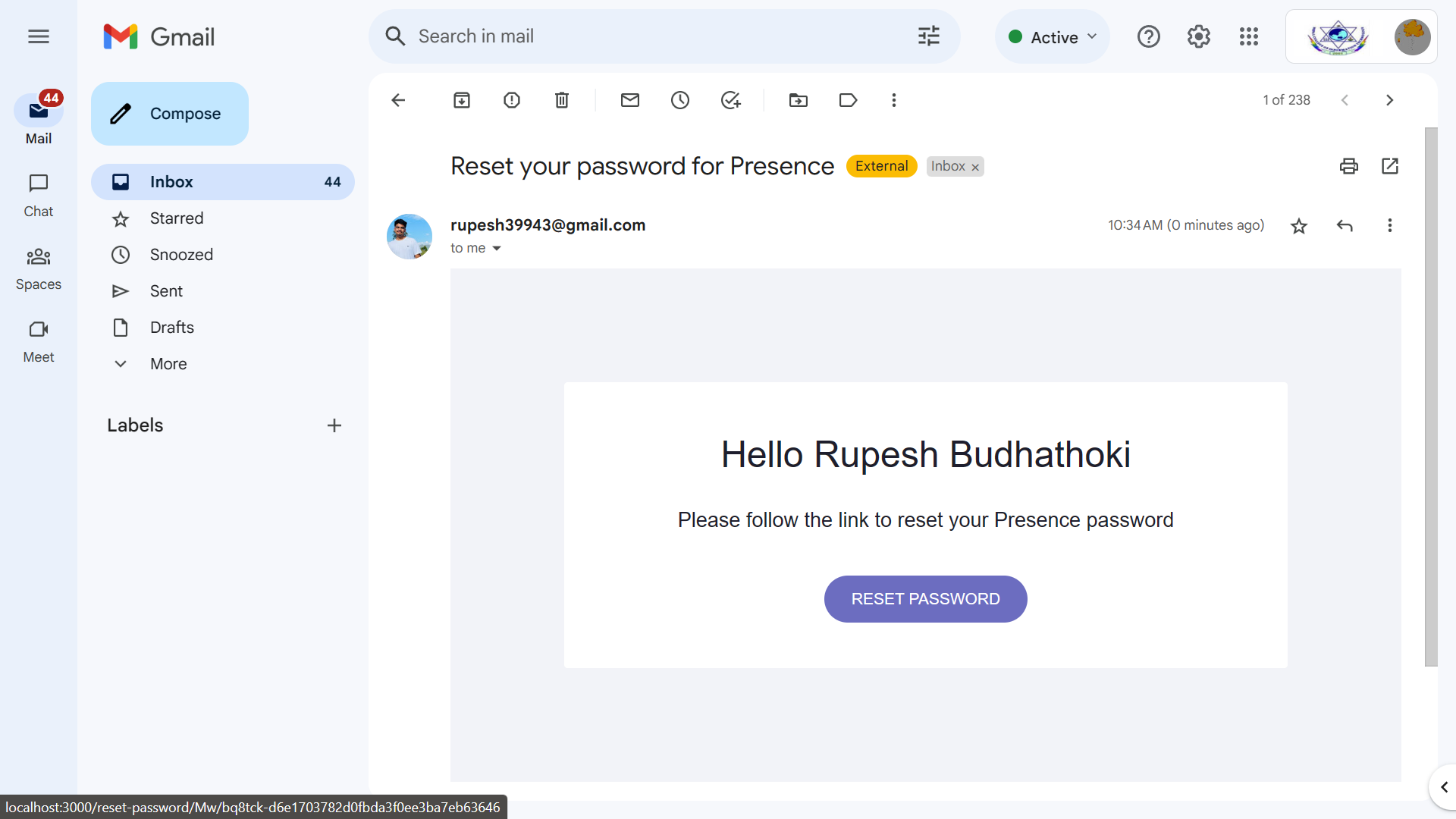 Reset Password Email