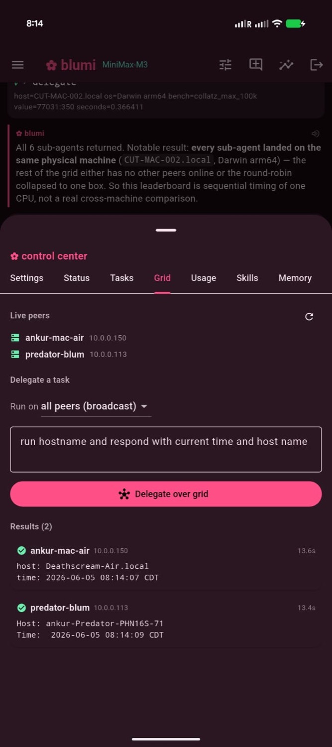 blugo Grid tab: delegate a task across peers, with per-machine results