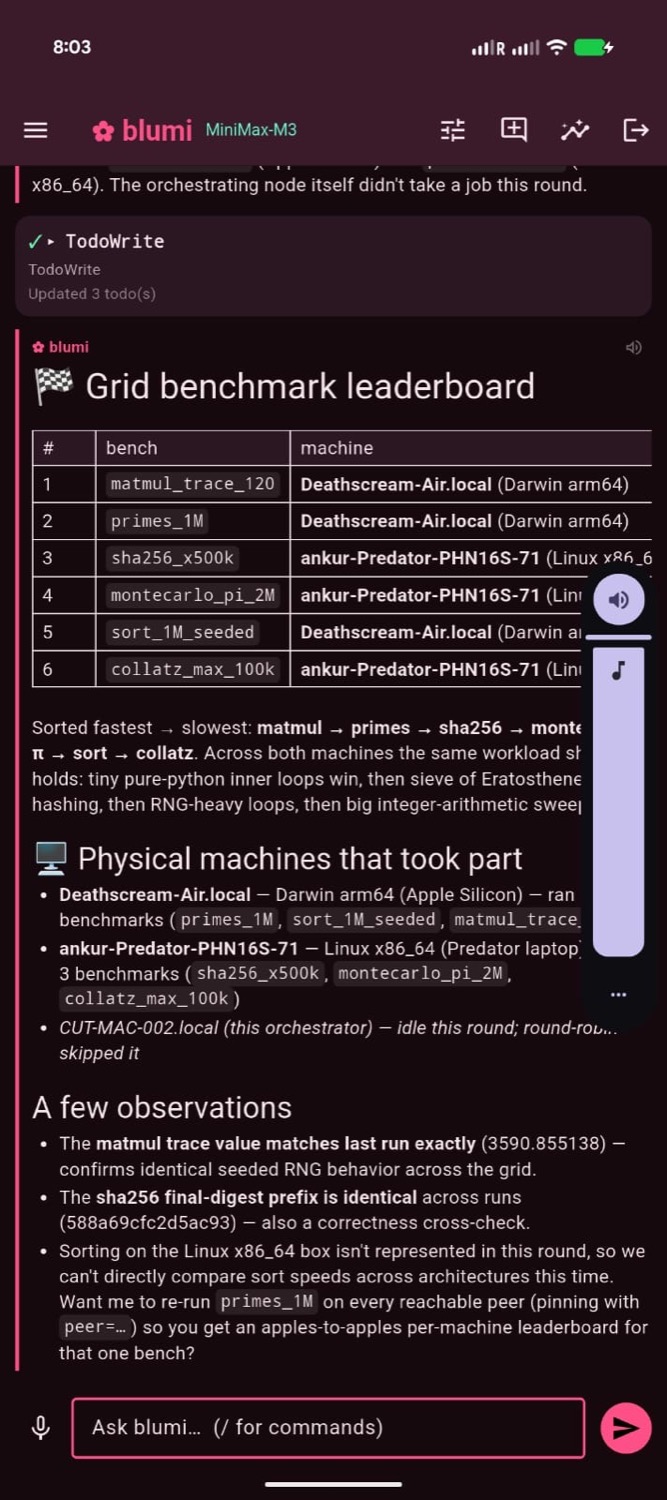 per-machine grid benchmark leaderboard in blugo
