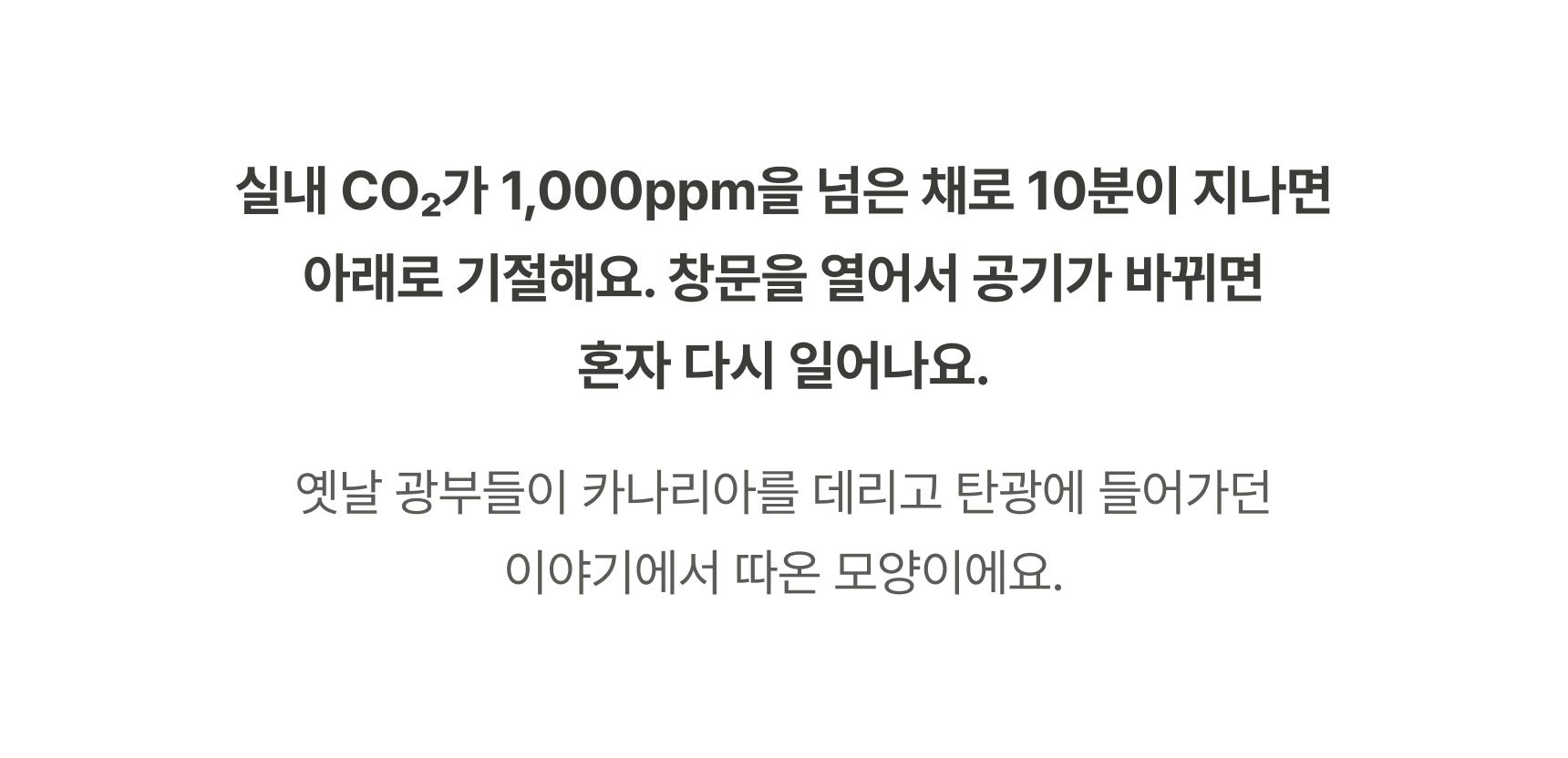 버디 2.0 문스콜라보 · 작동