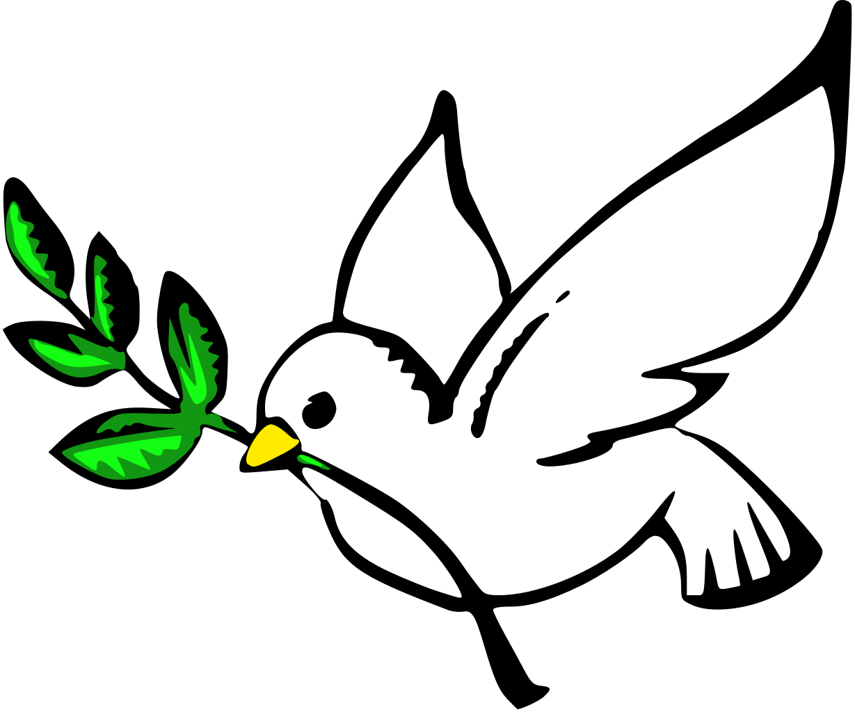 Dove flying holding an olive branch symbolizing peace on earth