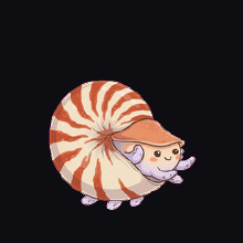 nautilus