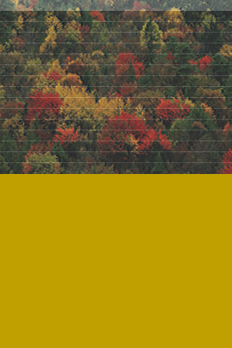 File list