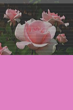 File list