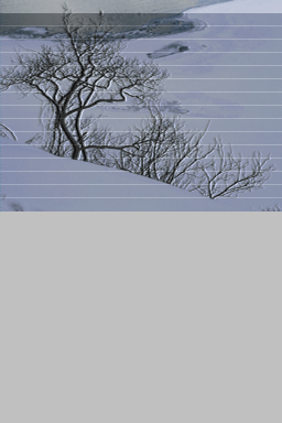 File list