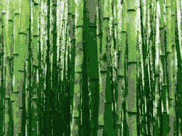 Bamboo