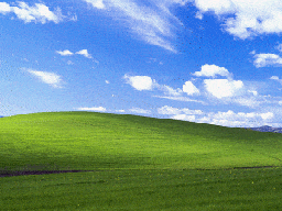 Bliss