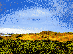 Desert