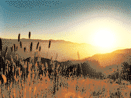 Field