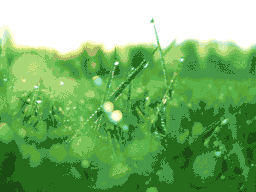 Grass
