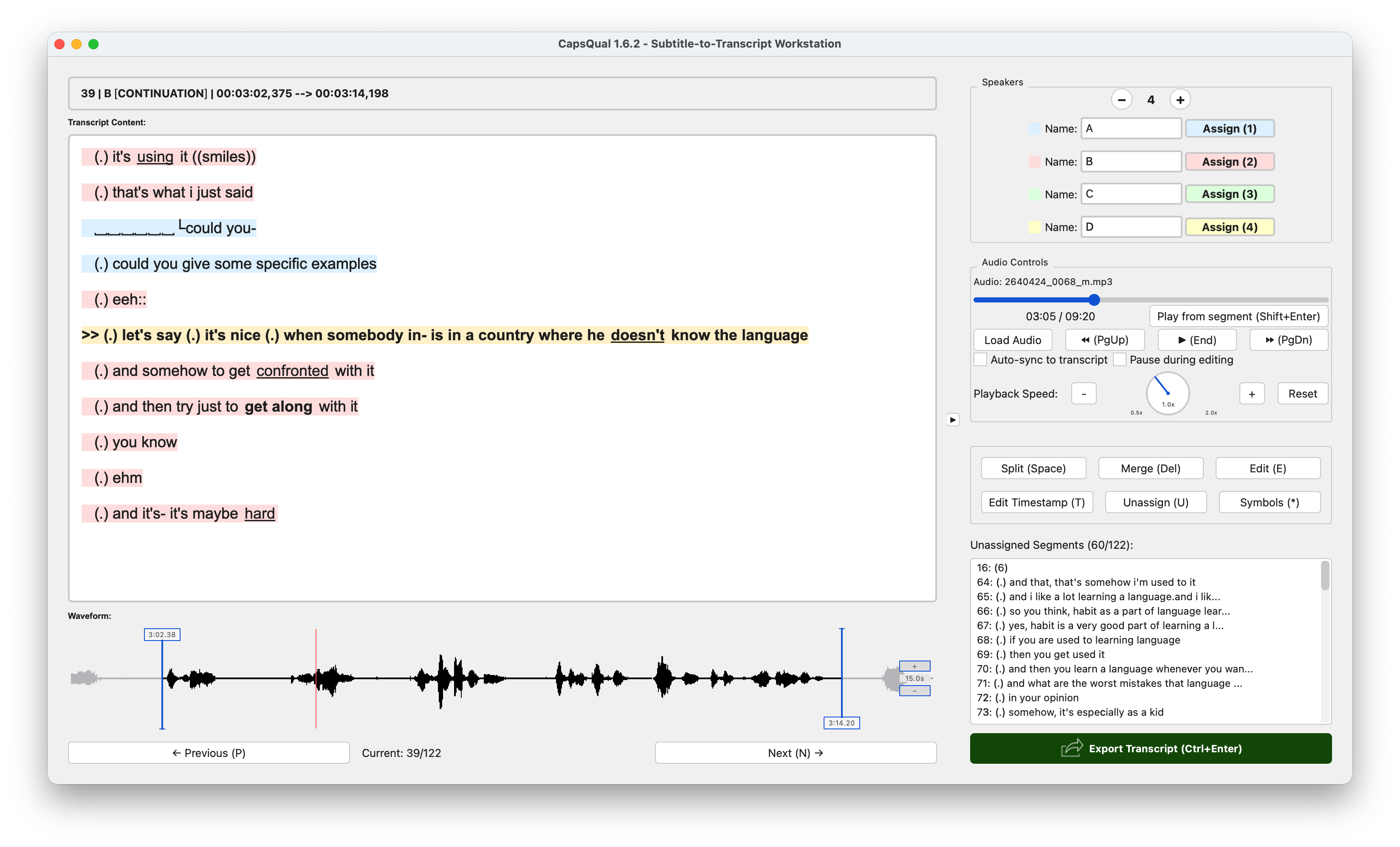 CapsQual editor window