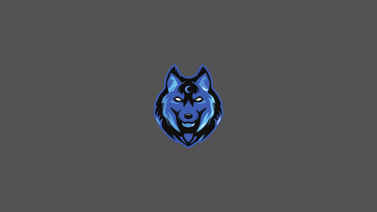 I am a full stack developer working on flutter