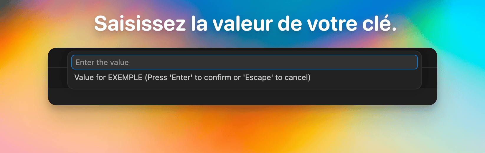 Enter variable value