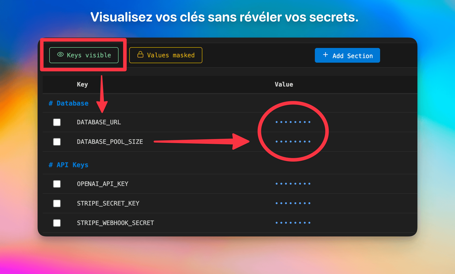 Keys visible, values masked