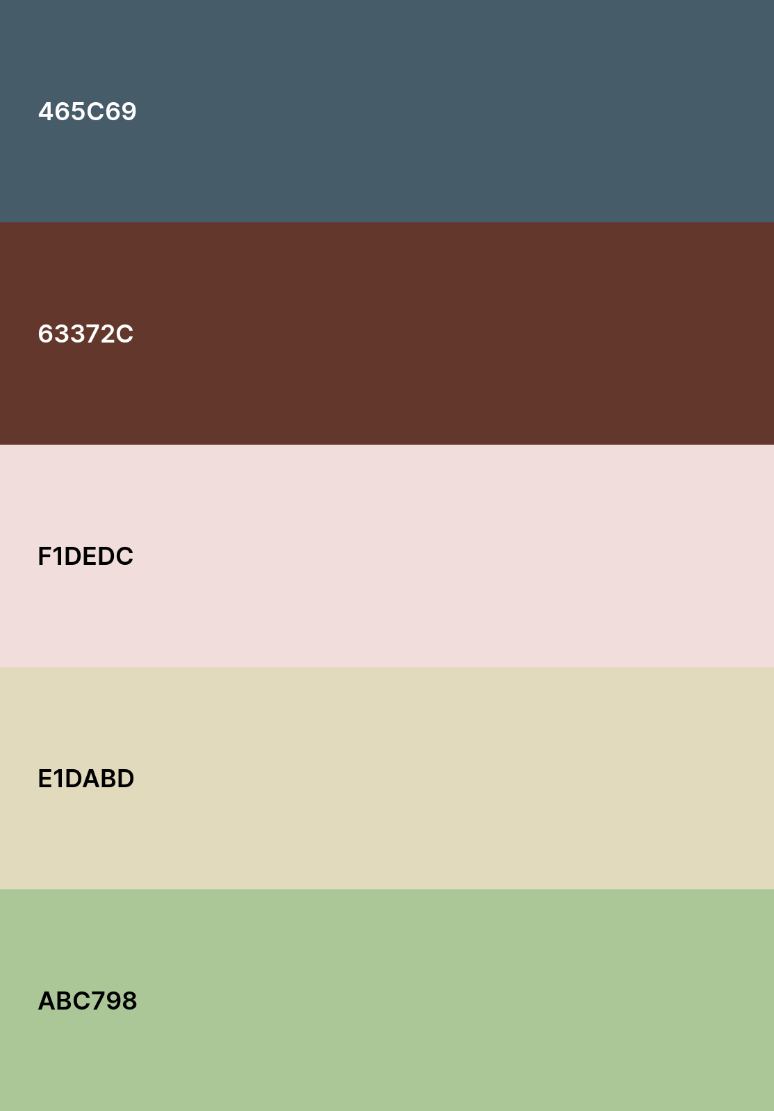 colour palette