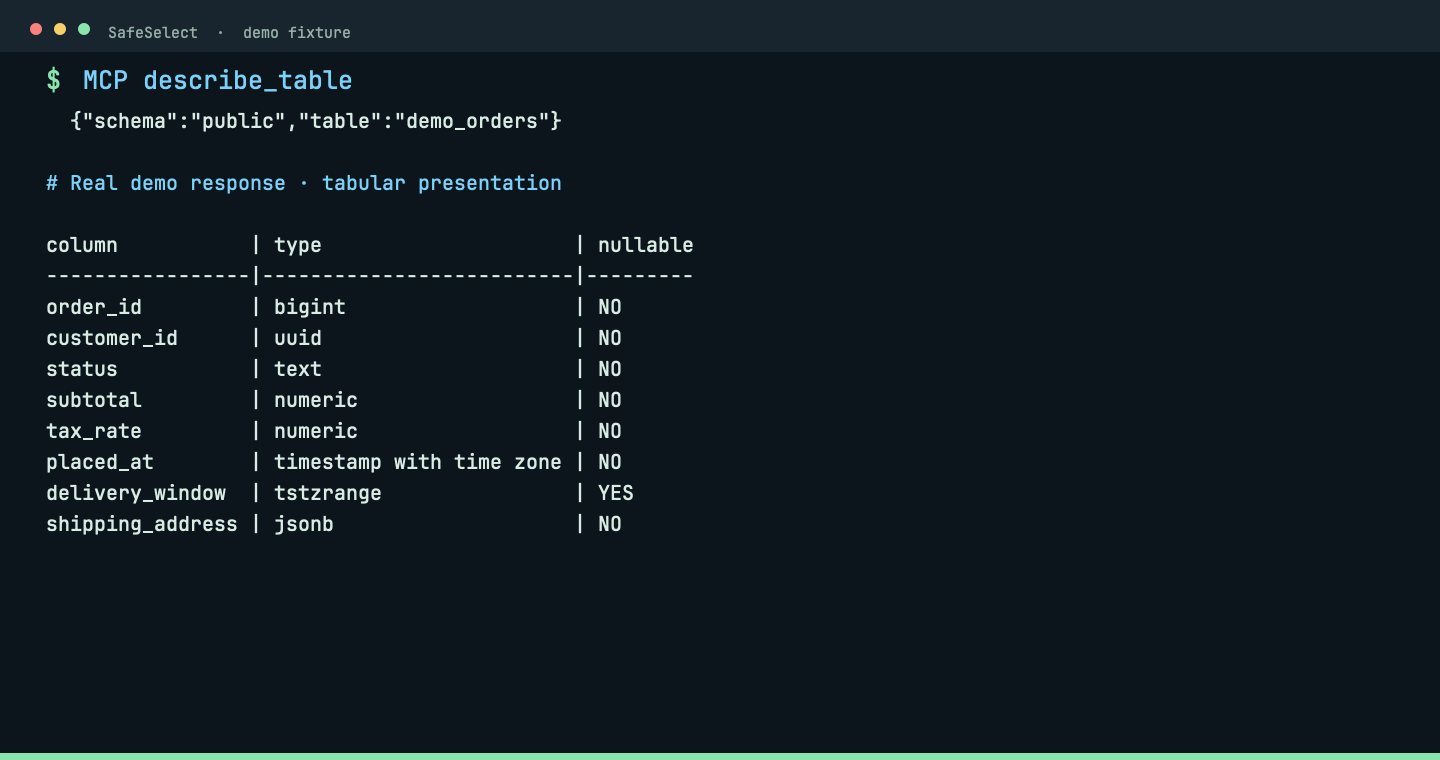 Inspect column names, types and nullability through MCP.