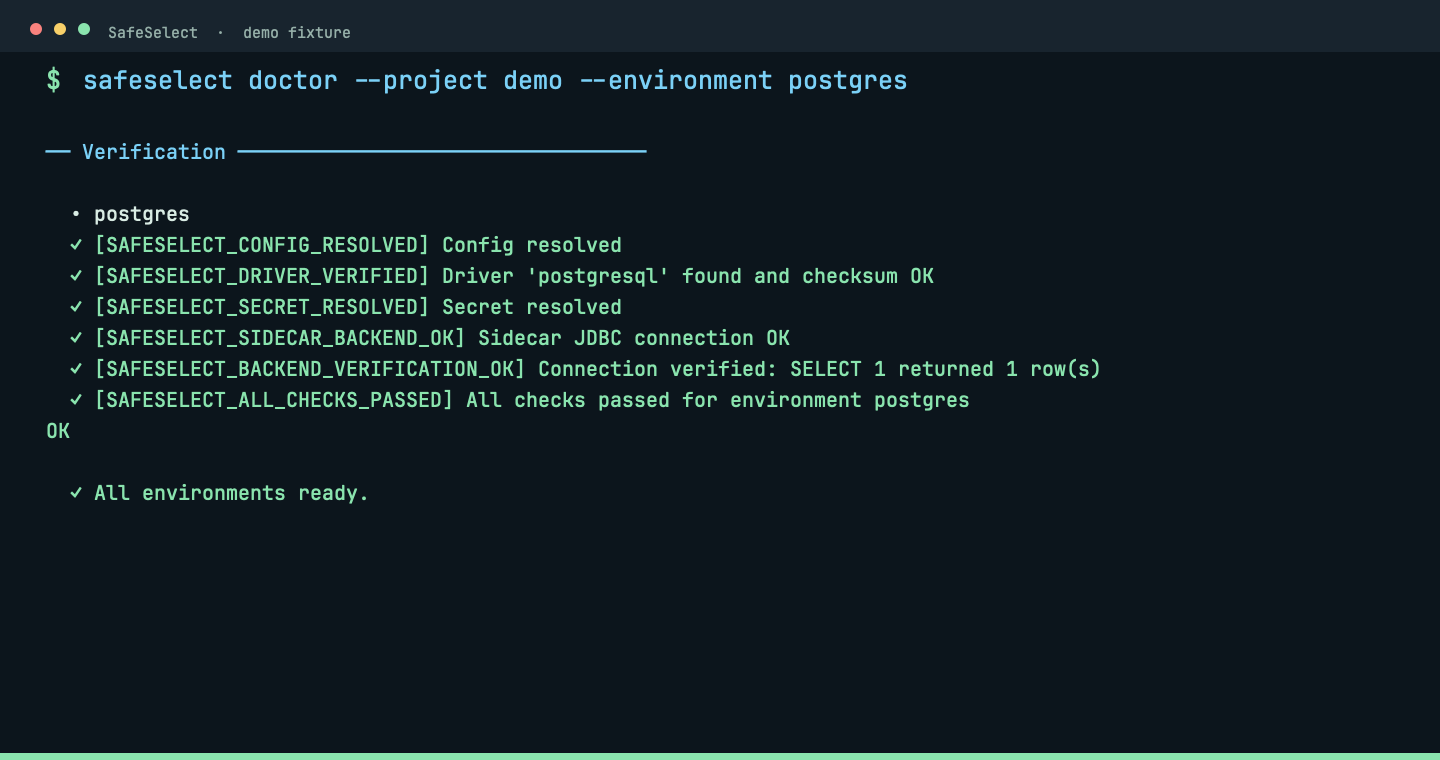 Terminal capture for safeselect doctor [--environment <env>]