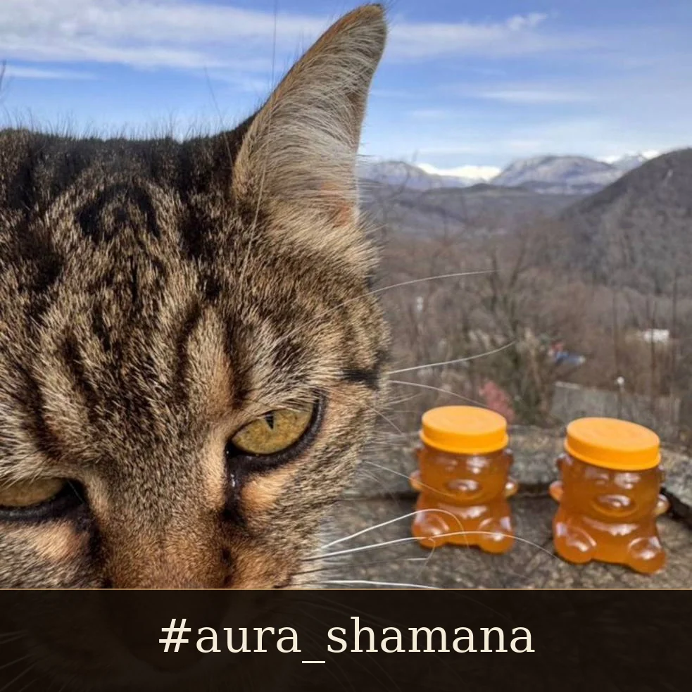 Липовый мёд из Каштанов 🍯