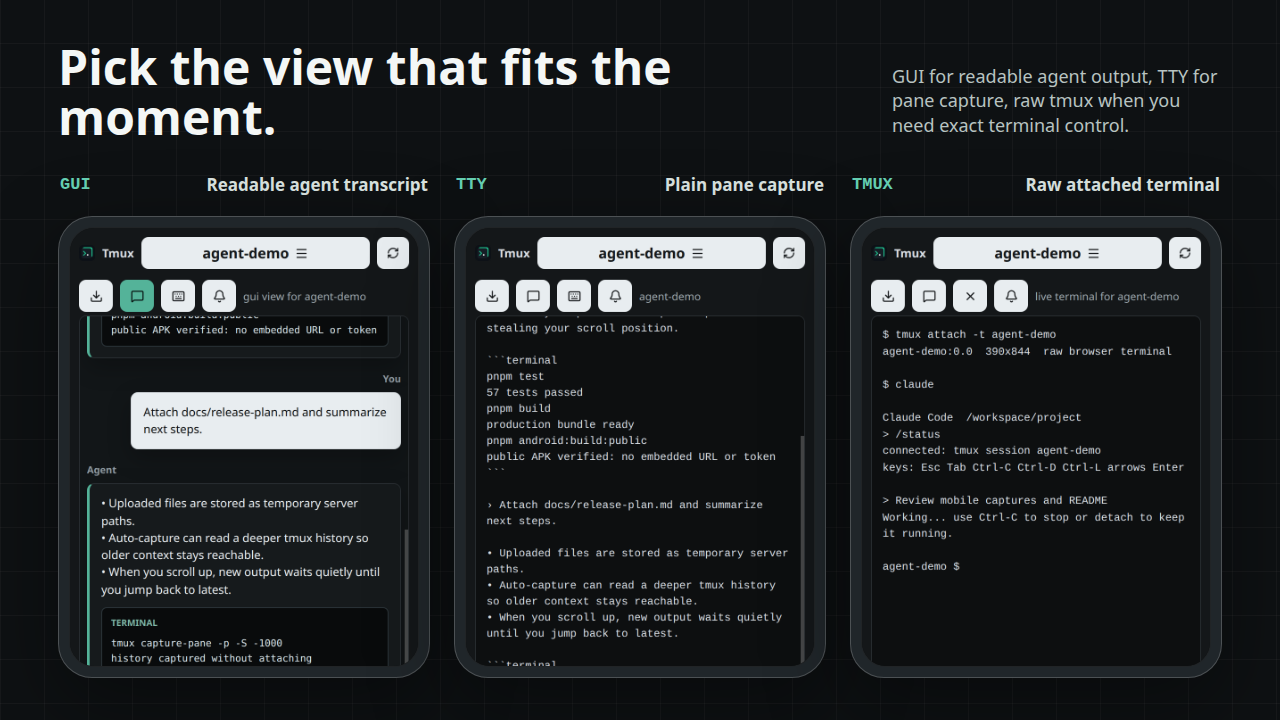 GUI, TTY, and raw tmux modes