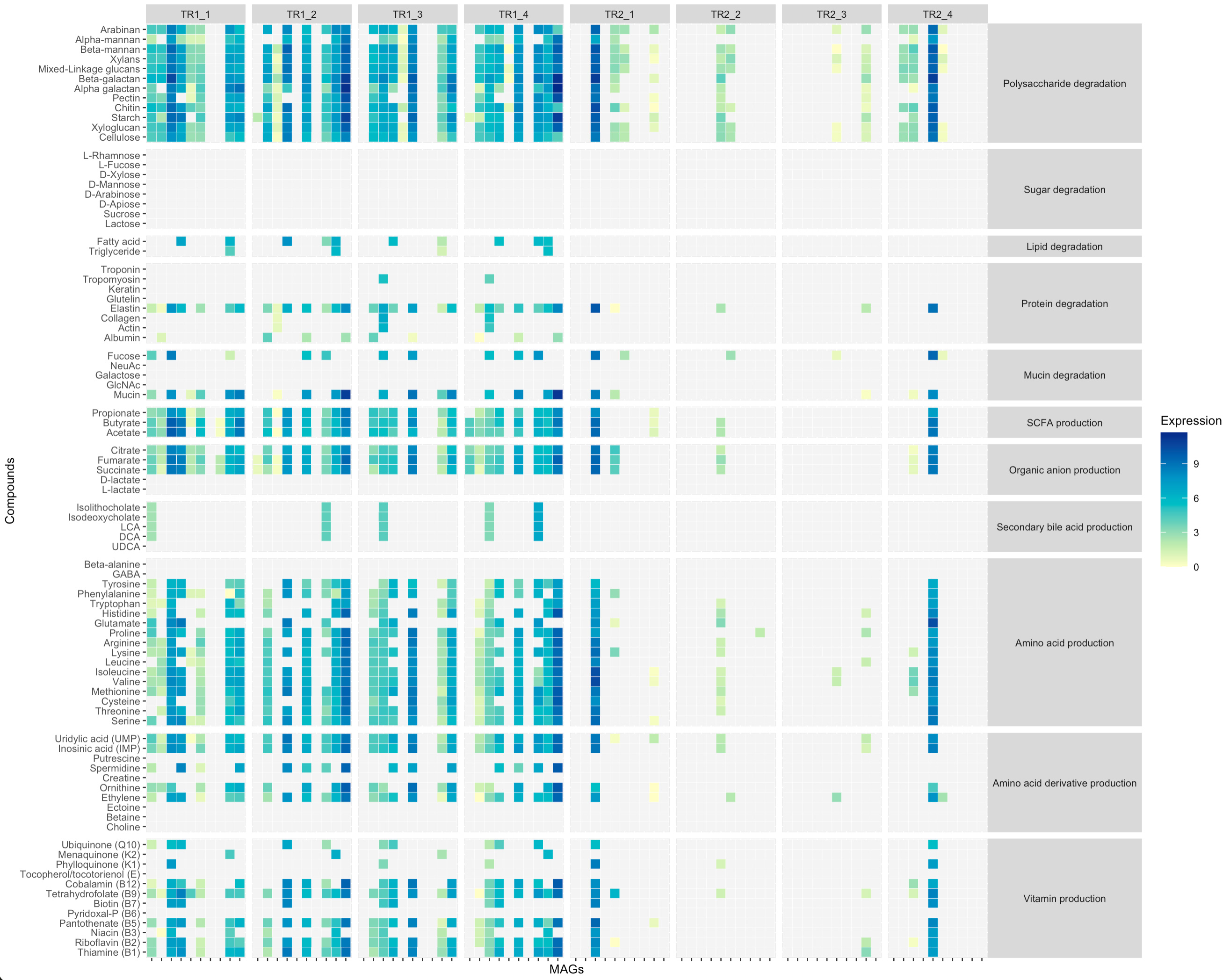 Gene expression-based MCIs at the compound level for each genome and sample.