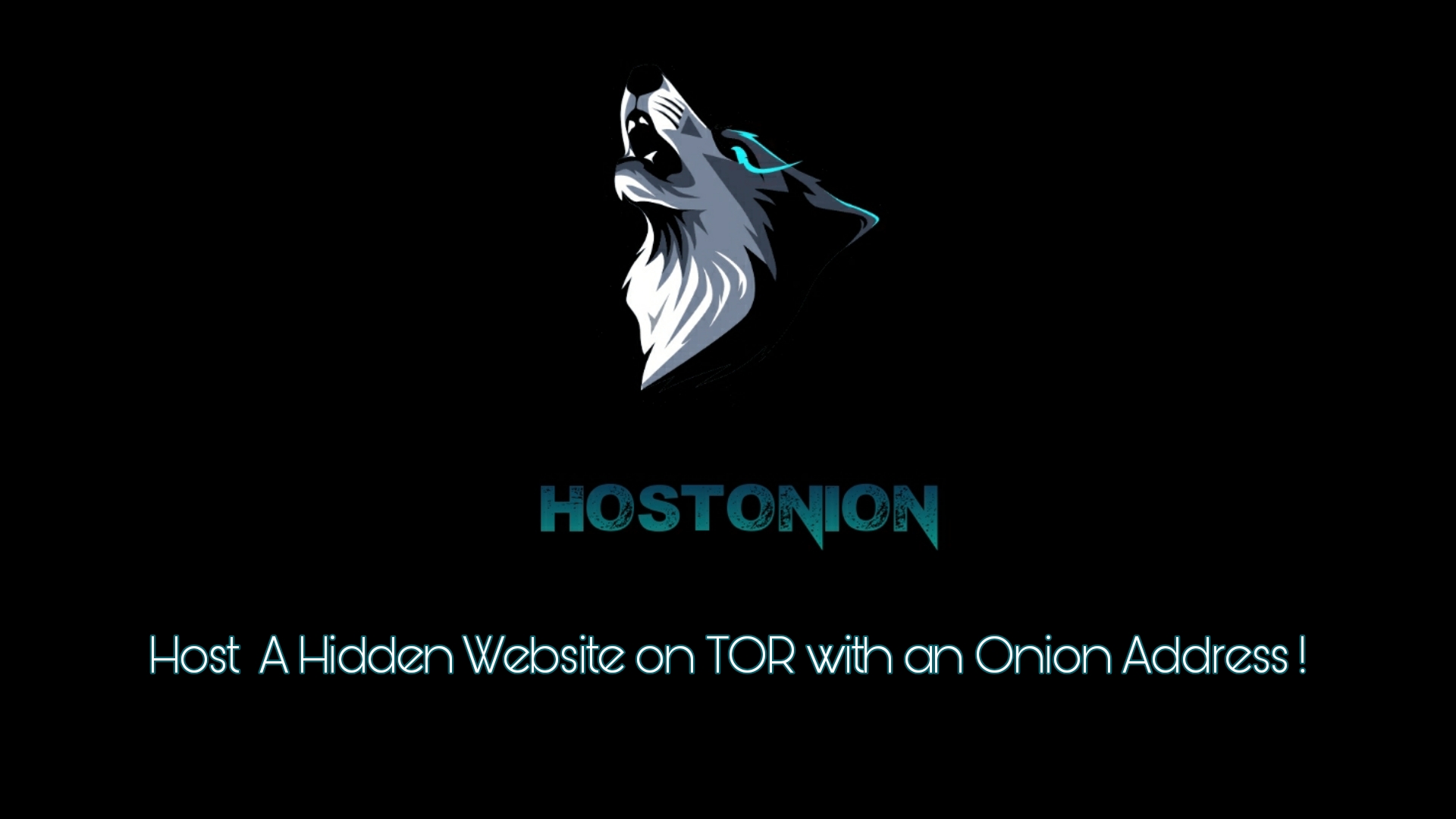HostOnion Logo