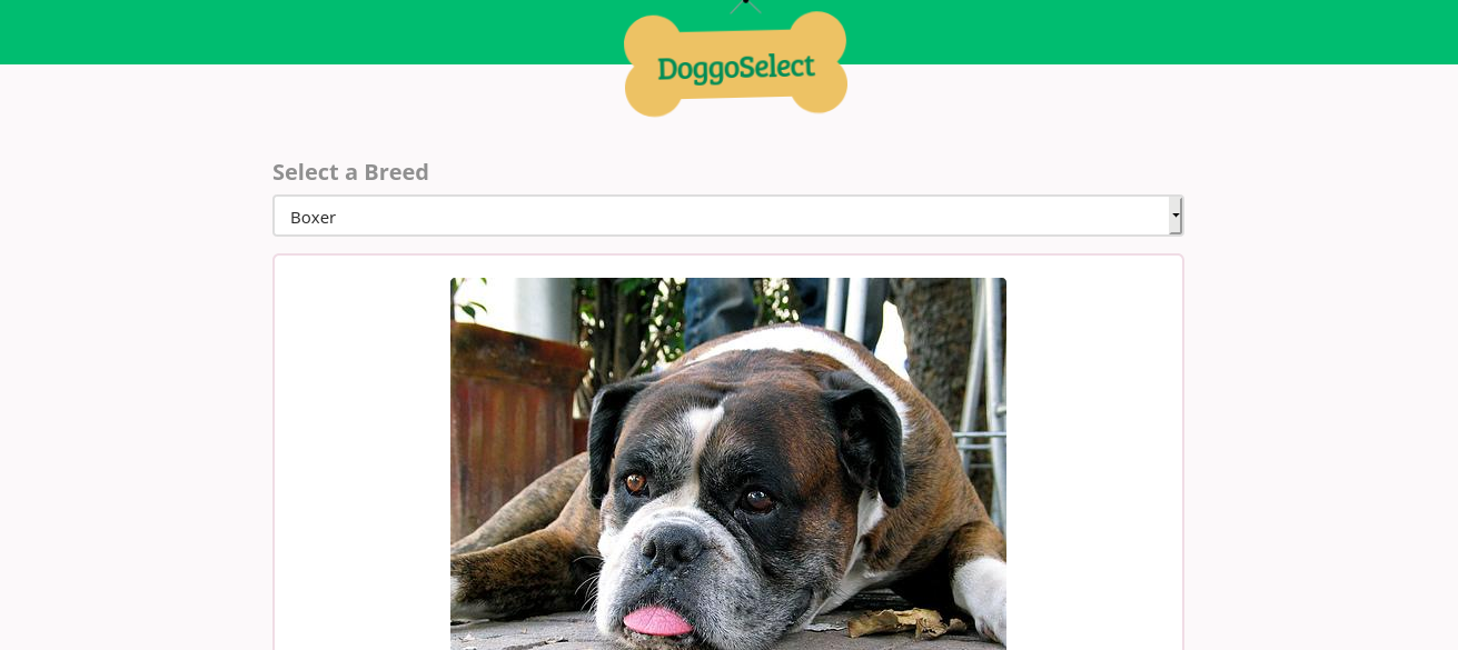 doggo website