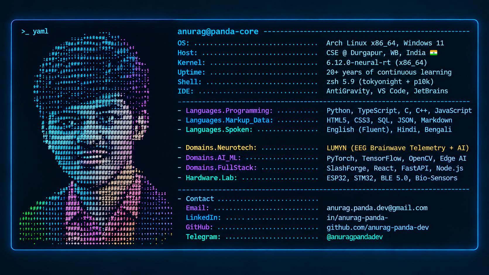 Anurag Panda Terminal Profile