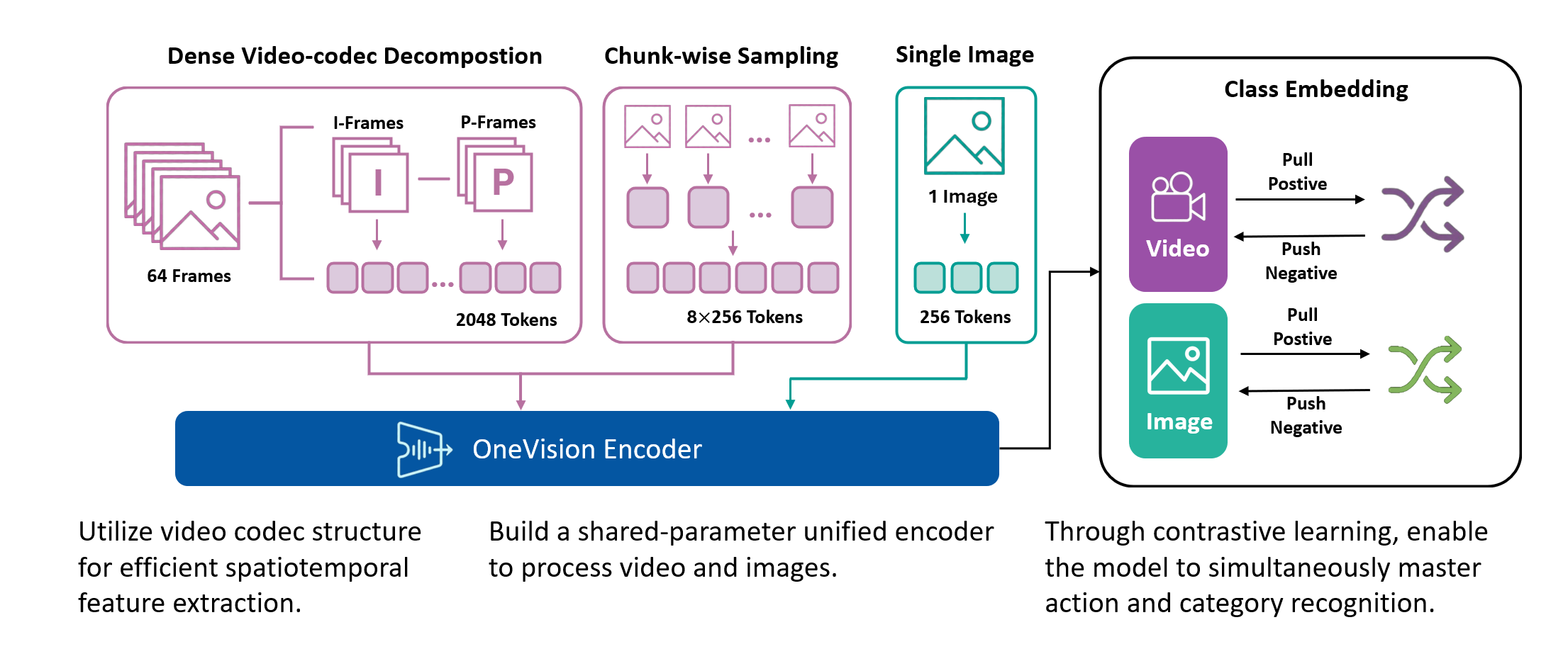 OneVision Encoder Method Overview