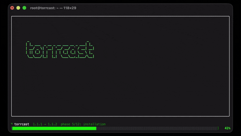 torrcast installation and playback demo