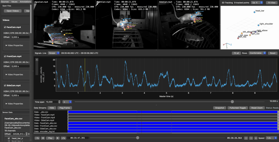 A one-second loop of three synchronised camera views of a head-fixed mouse with 2D pose overlays, a 3D pose view, and the wheel encoder velocity trace advancing together on one master timeline.