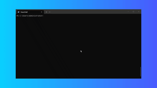 dsh-safe-tui demo
