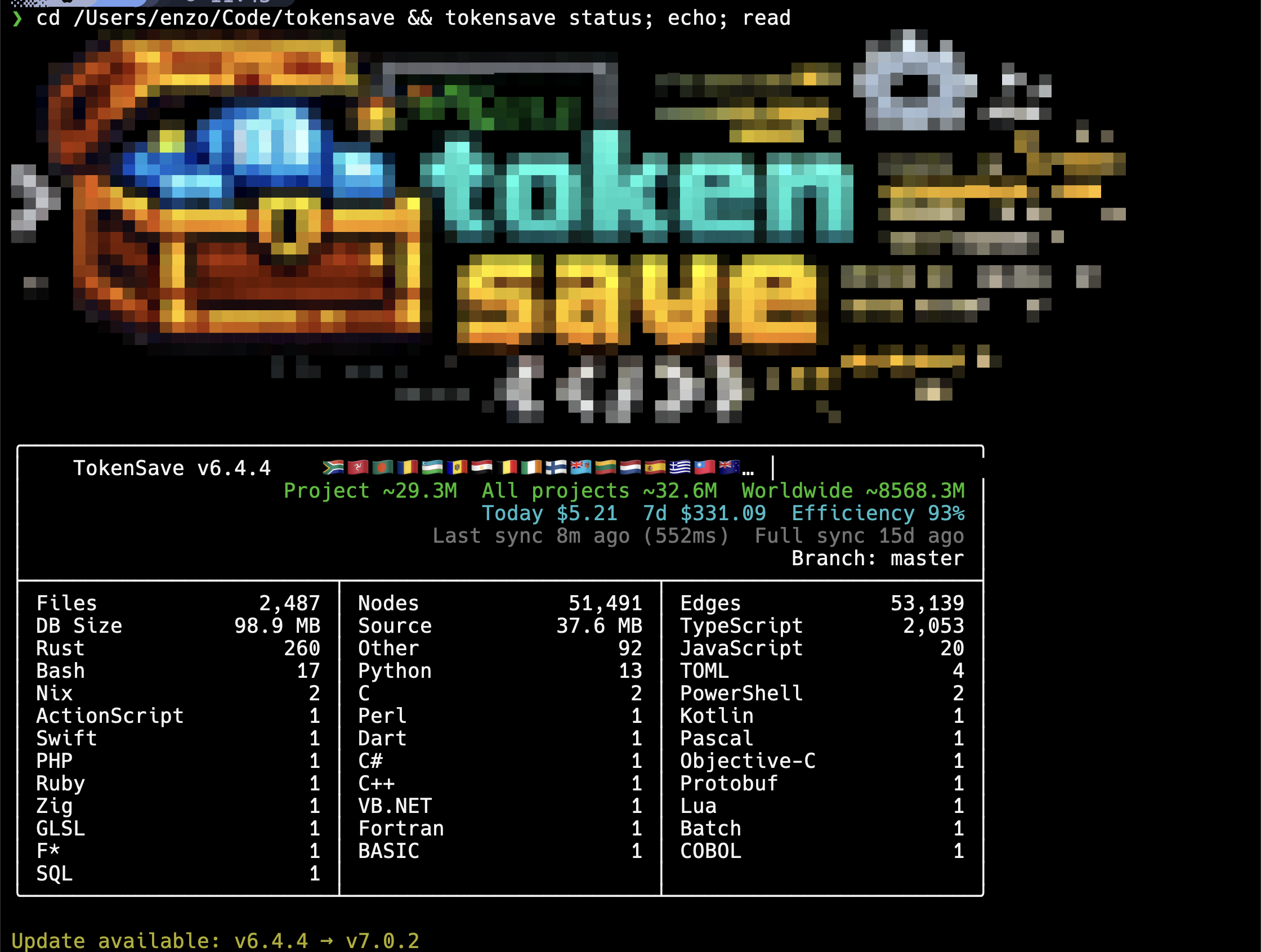 tokensave status output