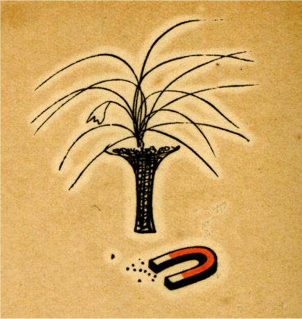 泪芙藍と磁石の図