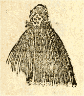 エレン夫人の図