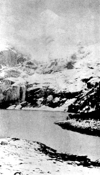 「●ブリュームリスアルプホルン」のキャプション付きの写真