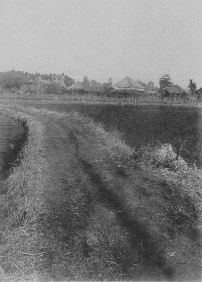 「恒春園南面」のキャプション付きの写真