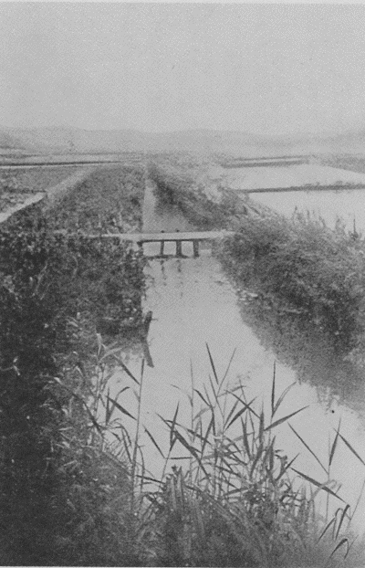 「田川」のキャプション付きの写真