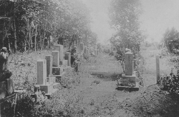 「墓地」のキャプション付きの写真