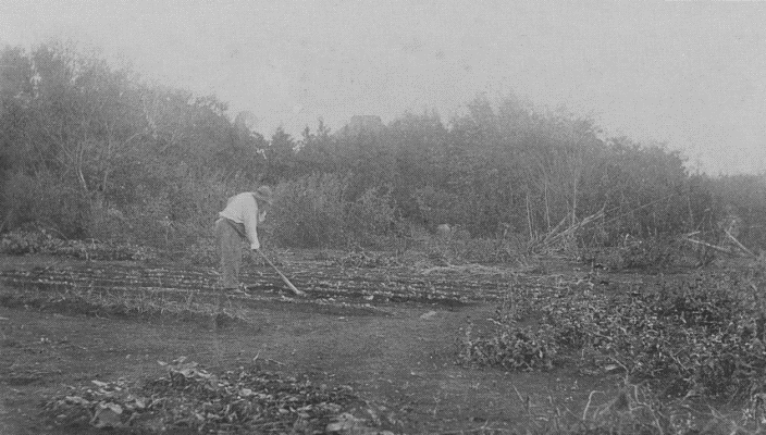 「鍬取りて」のキャプション付きの写真