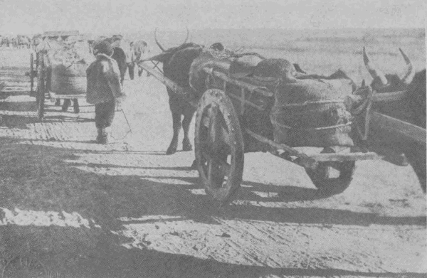 「※［＃「さんずい＋兆」、第3水準1-86-67］南城外の牛車の群」のキャプション付きの写真