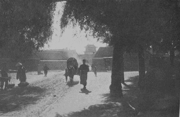 「金州の城外より城内の一部を望む」のキャプション付きの写真