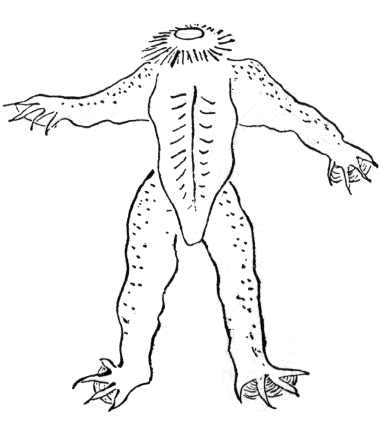 後ろ向きの河童の図