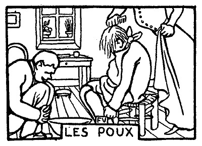 虱の挿絵