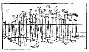 「第一図　（イ）ゼニバ　（ロ）ミズバ　（ハ）蓮根　（ニ）水面　（ホ）泥、斜線ある葉はトメバ」のキャプション付きの図