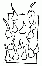 「第三図　幼き小刺」のキャプション付きの図