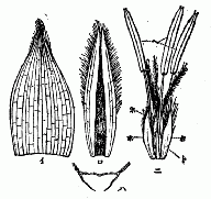 「（第四図）」のキャプション付きの図