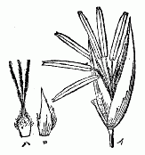 「第六図」のキャプション付きの図